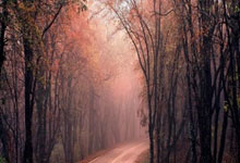 PG:欧冠-哈兰德失单刀弗拉麦肯尼破门 尤文2-0曼城.