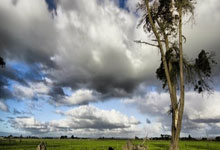 PG：[亚冠]上海申花主场战胜川崎前锋.